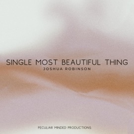 Single Most Beautiful Thing Joshua Robinson
