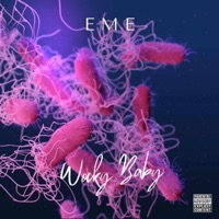 Wocky Baby (feat. EME) - Single - Cyrus Beats