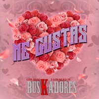Me Gustas - Single - Gerardo Y Los Nuevos Buskadores