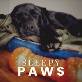 Sleepy Paws artwork