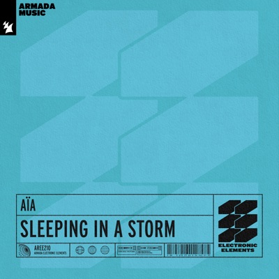Sleeping in a Storm - Single