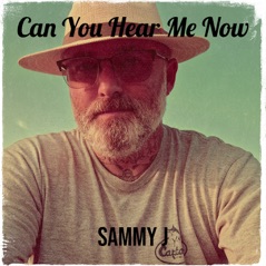 Can You Hear Me Now - Single