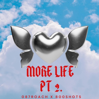 More Life PT2. (feat. 800Shots) - Single