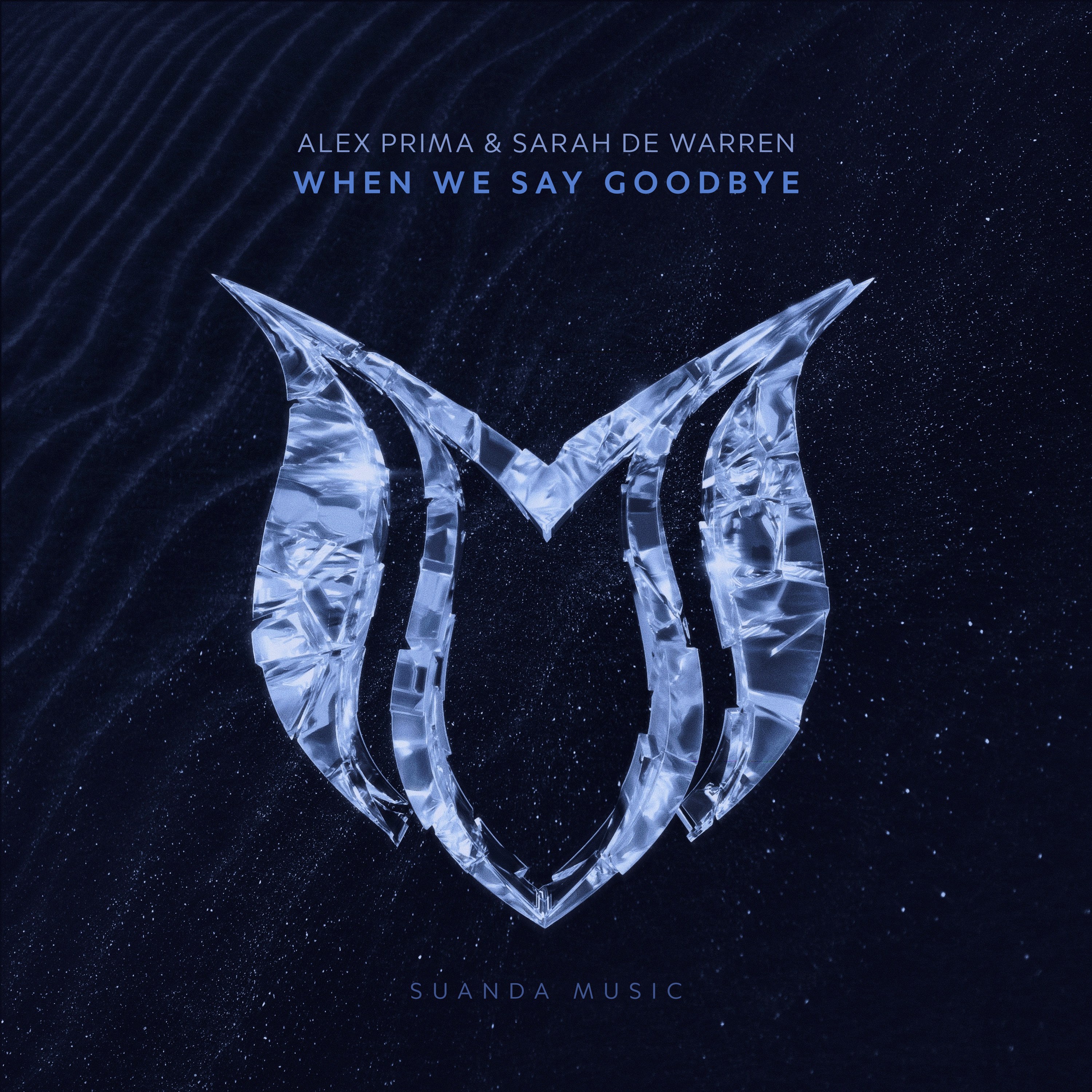 When We Say Goodbye - Single