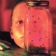 JAR OF FLIES cover art