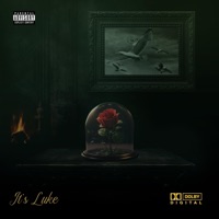 It's Luke - EP - 201