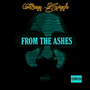 From the Ashes