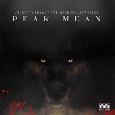 Peak Mean (feat. Conway the Machine & Showrocka) - Single