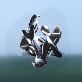 Bone and Skin d1v, Buffalobang & Dan Larkin