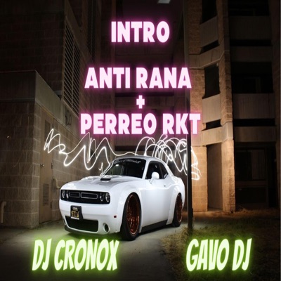 gavo dj - Intro Anti Rana + Perreo Rkt