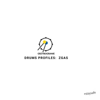 Zgas (feat. ZGAS) - Single - GRZYBOGRANIE DRUMS PROFILES