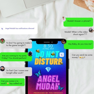 Do Not Disturb - Single