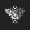 Moth - Single