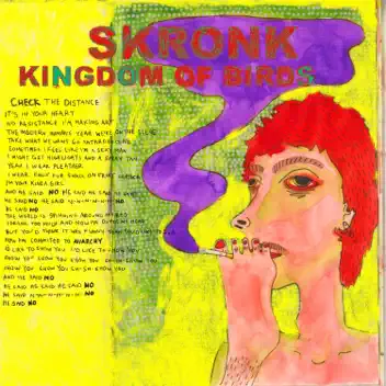 Skronk album cover