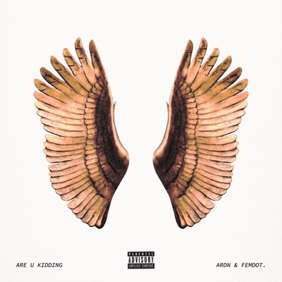 ARE U KIDDING - Single