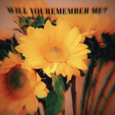 Will You Remember Me? - Single