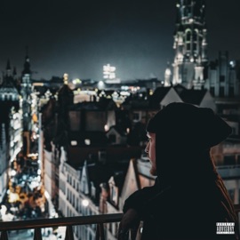 Froid d'hiver Shovito