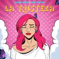 La Tristeza - Single - Sasha Wrist & Buo On Fire