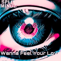 Wanna Feel Your Love - Single - SPLIT MINDZ