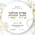 אפרים מנדלסון