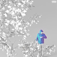 PÉTALES (feat. CSU & thresu) - Single - Ry's