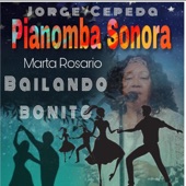 Bailando Bonito (Special Version) artwork