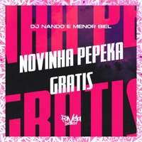 Novinha Pepeka Gratis - Single - Dj Nando & Menor Biel