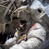 Cosmos - Single - PATRCK & Pyrex Pryce