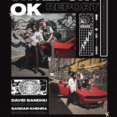 Ok Report (feat. Sardar Khehra) [LOFI VERSION] - Single