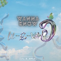 Wanna Know - Single - Lil_E_Wrld