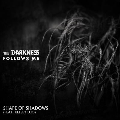 The Darkness Follows Me (feat. Kelsey Luo) - Single