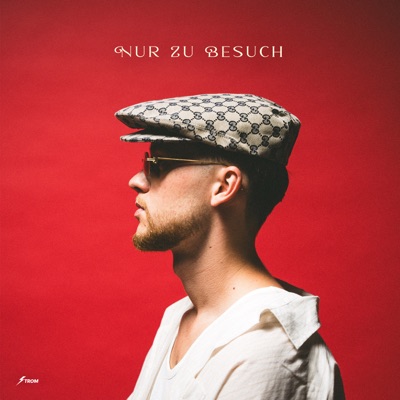 Nur Zu Besuch - Single