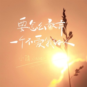 要怎么放弃一个不爱我的人 (女版) - Single