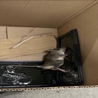 MISSED the LAST STEP,BROKE MY NECK (feat. Beastboybpd) - Single - Anbonyoo