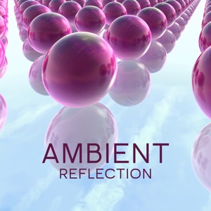 Ambient Reflection
