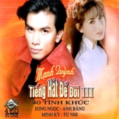 Nếu Mai Này artwork