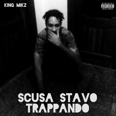 Scusa Stavo Trappando