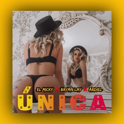 Única (feat. El Micky, Bryan Lay & Ardiel) - Single