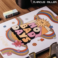 No Bad Days - Marcus Miller