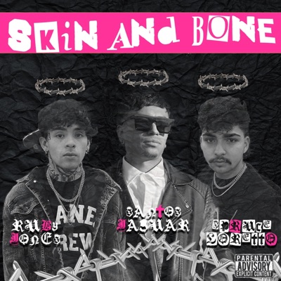 Skin and Bone - Single