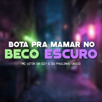 Bota pra Mamar no Beco Escuro - Single - MC VITIN DA DZ7 & DJ Paulinho Unico