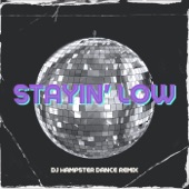 Stayin' low (DJ Hampster Dance Remix) artwork