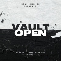 Vibes (feat. Scrilla King) - Single - Real Hunnits