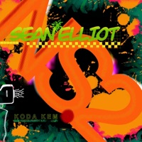 NS.2 (feat. Koda Kem) - Single - Sean Elliot