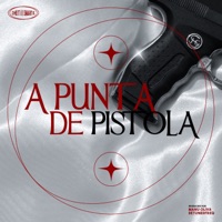 A Punta de Pistola (feat. Manu Oliva & detunedfreq) - Single - Zheit & Smart K.