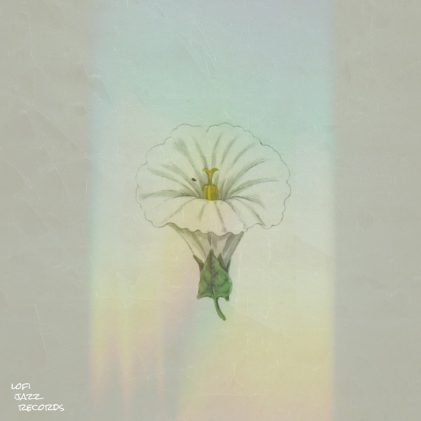 Beige - Single