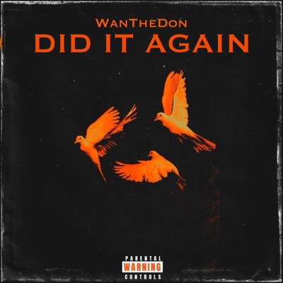 Did It Again - Single