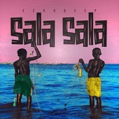 Sala Sala artwork