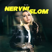 Nervni Slom artwork