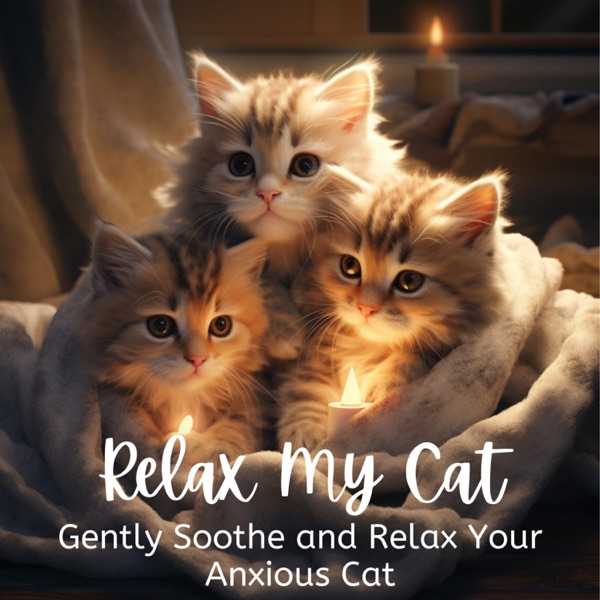 Relax My Cat - Gently Soothe and Relax Your Anxious Cat